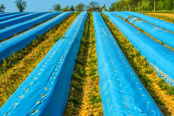 Agricultural Rainproof and Sun Protection Tarpaulin Solutions