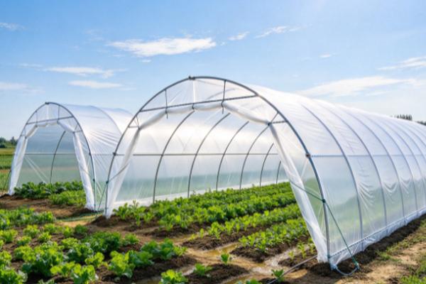 Are Clear Waterproof Tarps Suitable for Agricultural Greenhouses
