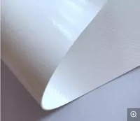 PVC Tarpaulin Roll PVC Vinyl laminated Fabric in Rolls PVC inflatable boat