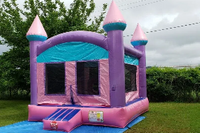 Fire Resistant PVC Inflatable Castle
