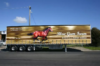 Tear Resistant Truck Side Curtain Fabric
