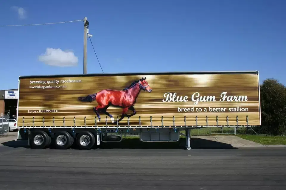 Tear Resistant Truck Side Curtain Fabric